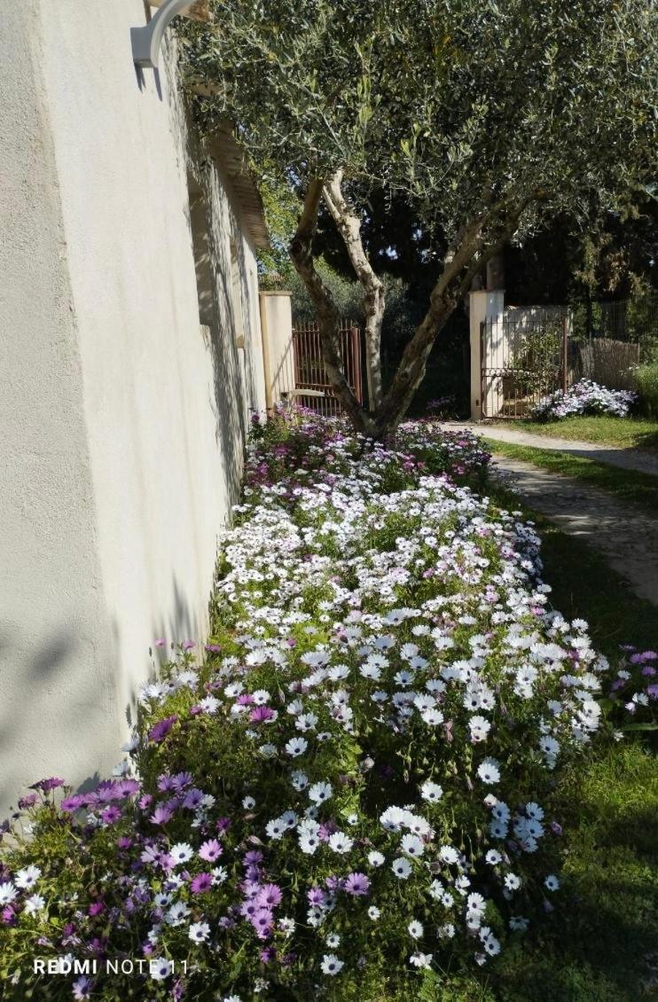 Maison De Campagne En Provence Barbentane Exterior foto